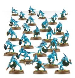 SERAPHON SKINKS